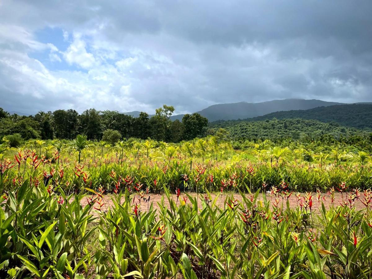 The Postcard Hideaway, Netravali Wildlife Sanctuary, Goa Hotel Vichondrem Ngoại thất bức ảnh