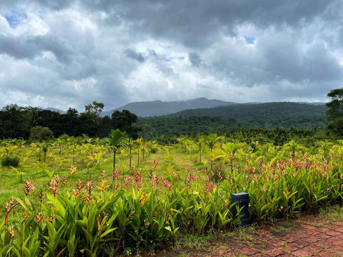 The Postcard Hideaway, Netravali Wildlife Sanctuary, Goa Hotel Vichondrem Ngoại thất bức ảnh