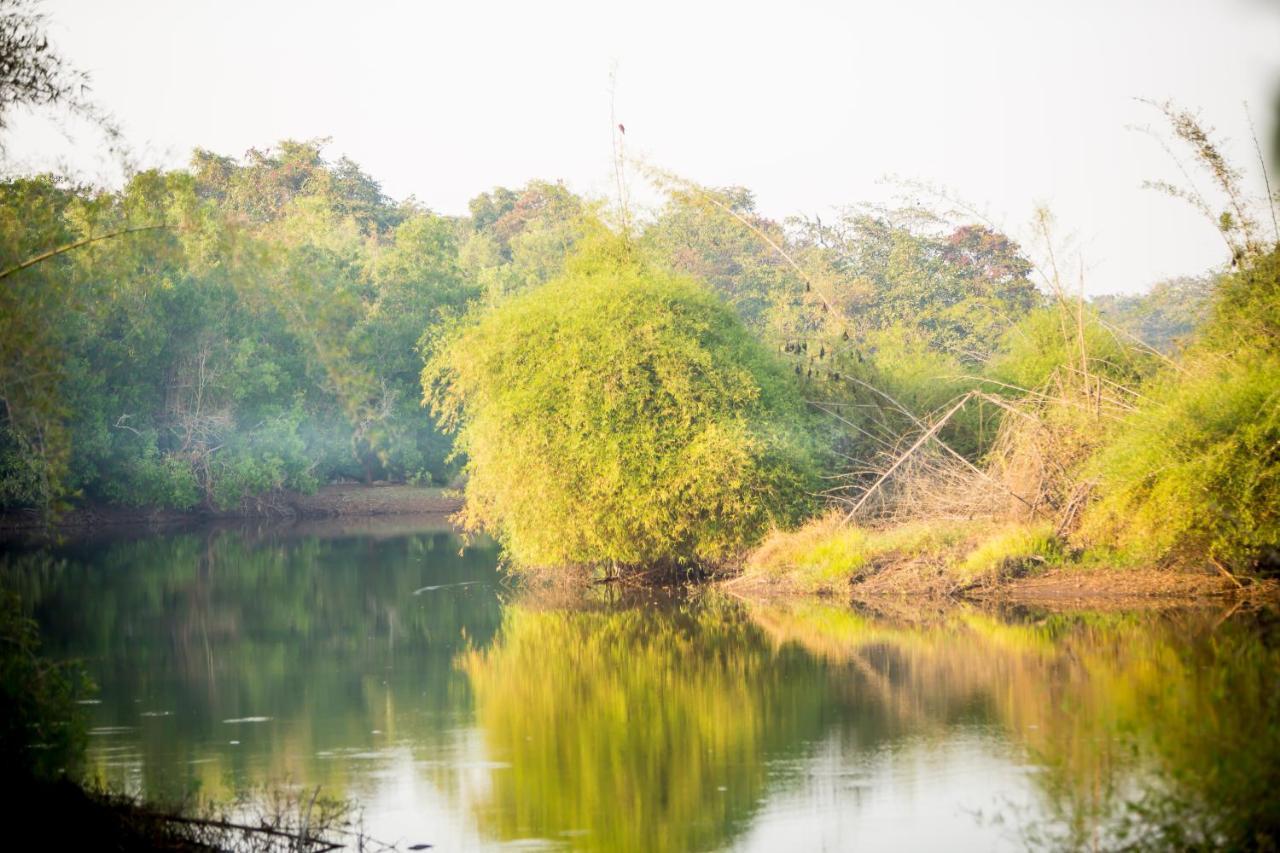 The Postcard Hideaway, Netravali Wildlife Sanctuary, Goa Hotel Vichondrem Ngoại thất bức ảnh